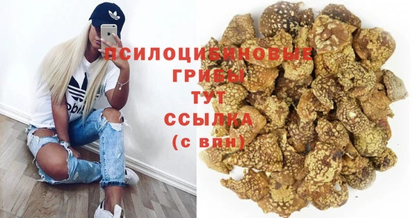 не бодяженный Алексин